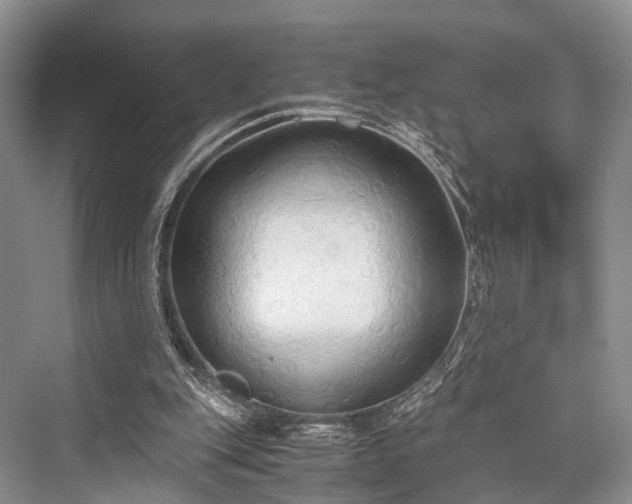 X0000076231351200610051140