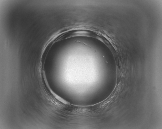 X0000076231352200610051140
