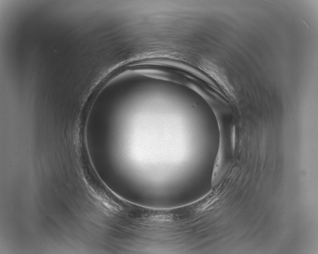 X0000076231356200610051140