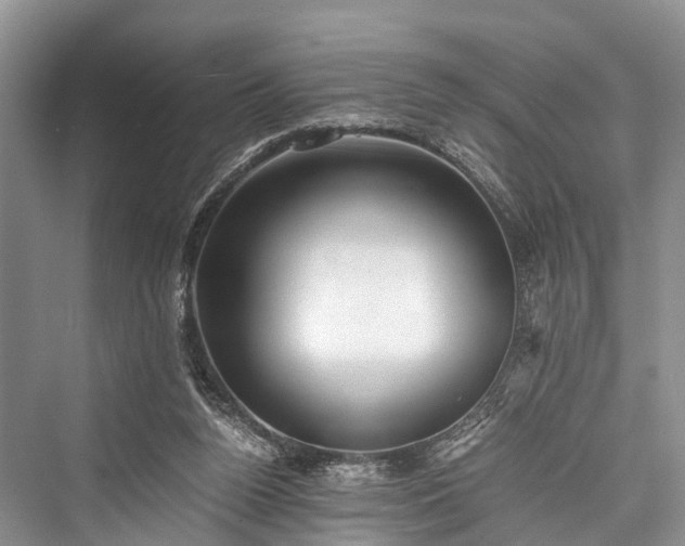 X0000076231360200610051140