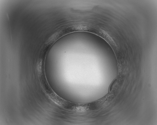 X0000076231363200610051140