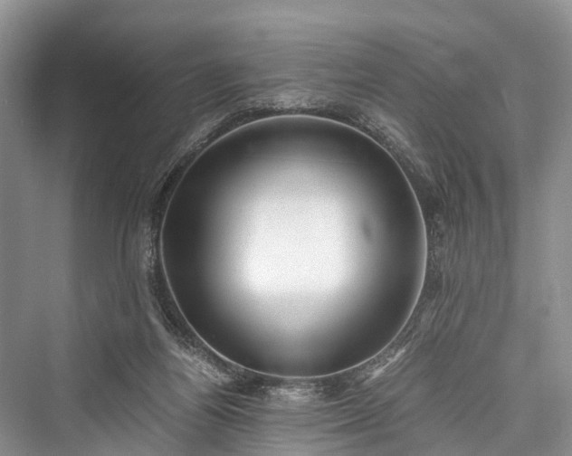 X0000076231364200610051140