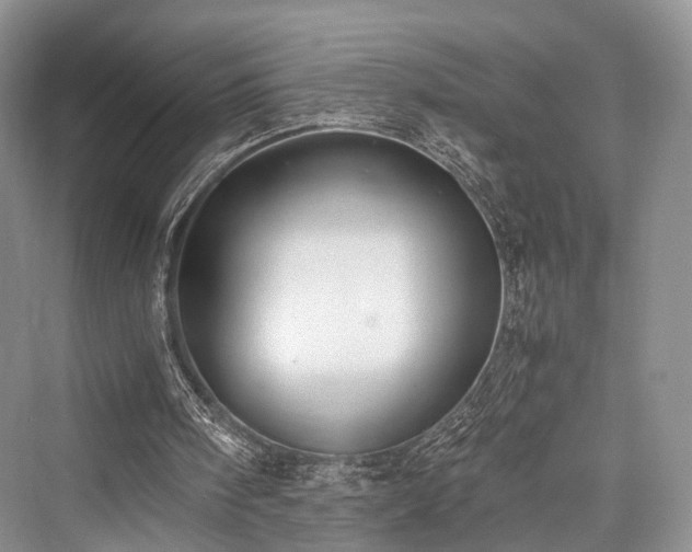 X0000076231394200610051141