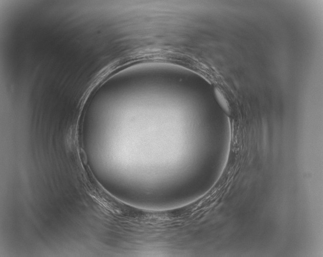 X0000076231395200610051141