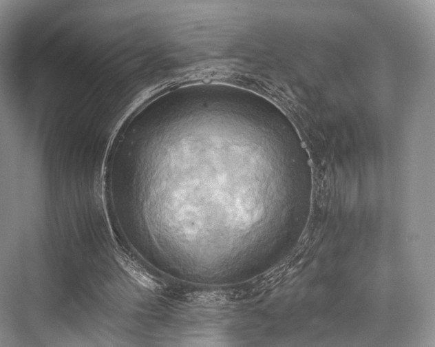 X0000076231396200610051141