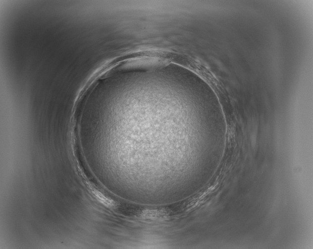 X0000076231397200610051141