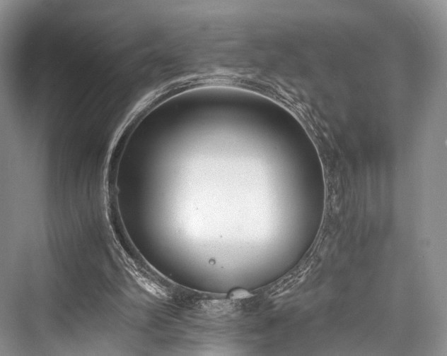 X0000076231398200610051141