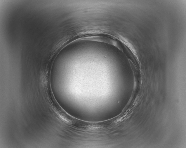 X0000076231401200610051141