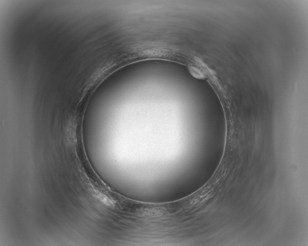 X0000076231402200610051141