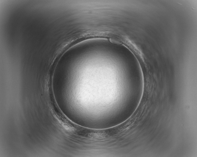 X0000076231403200610051141