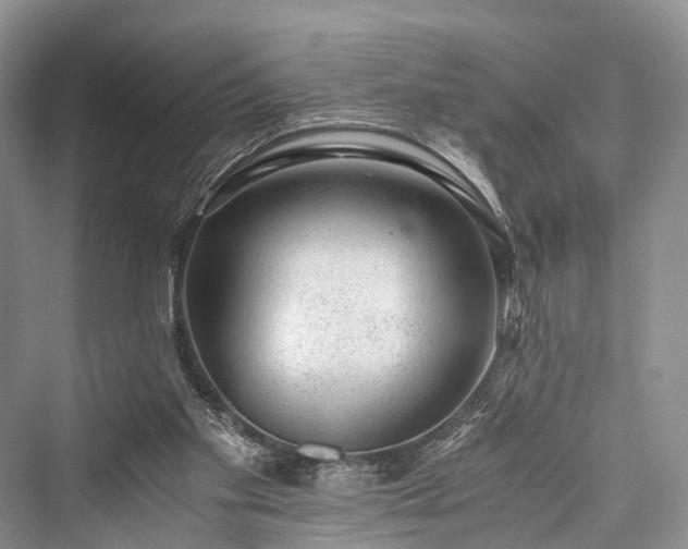 X0000076231405200610051141