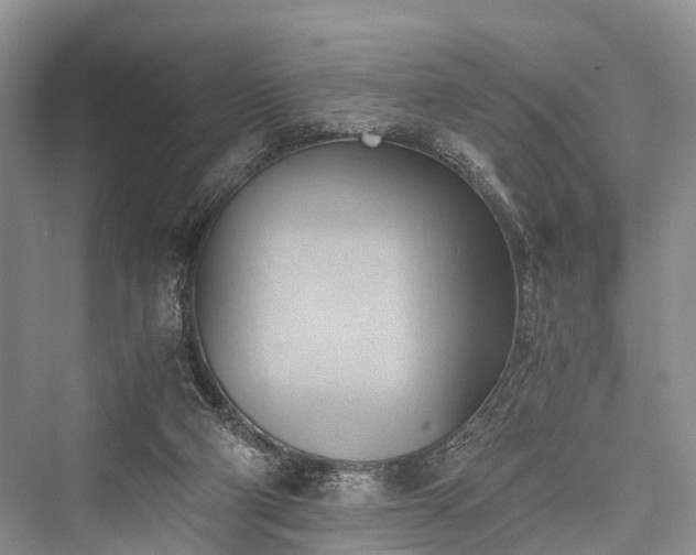 X0000076231410200610051141
