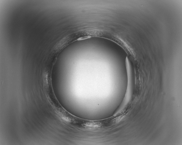 X0000076231413200610051141