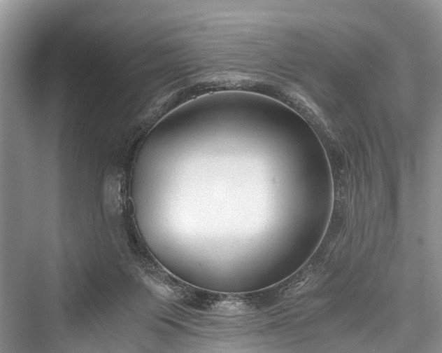 X0000076231415200610051141
