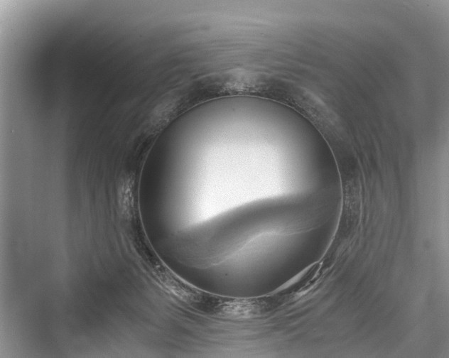 X0000076231423200610051141
