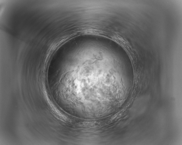 X0000076231441200610051141