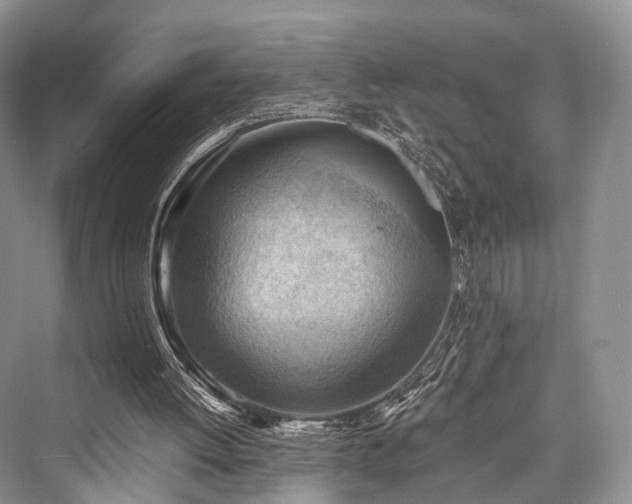 X0000076231444200610051141