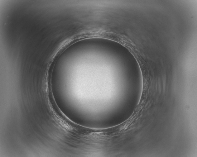 X0000076231446200610051141