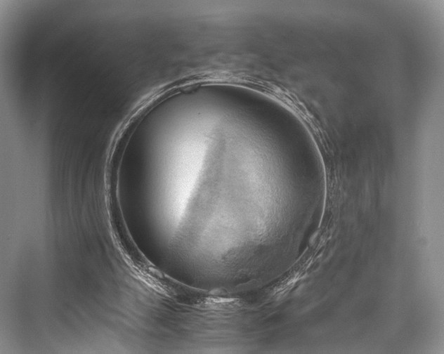 X0000076231447200610051141