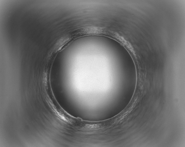 X0000076231449200610051141