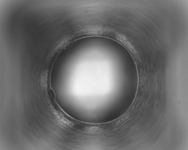 X0000076231450200610051141