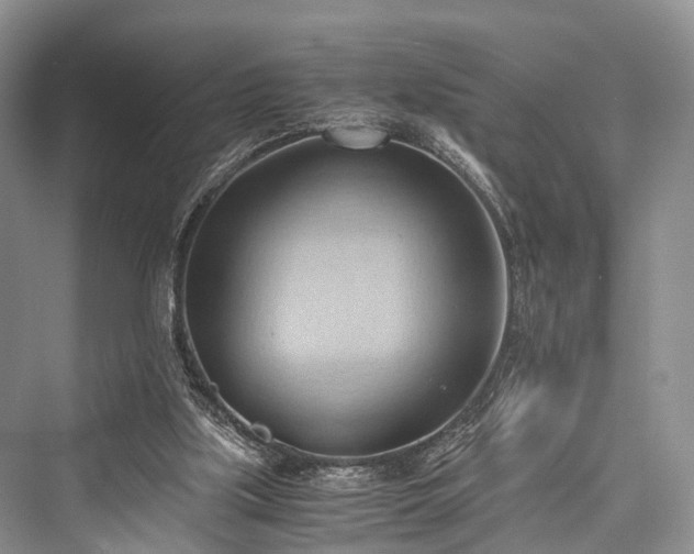 X0000076231451200610051141