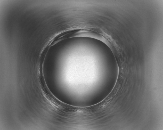 X0000076231452200610051141