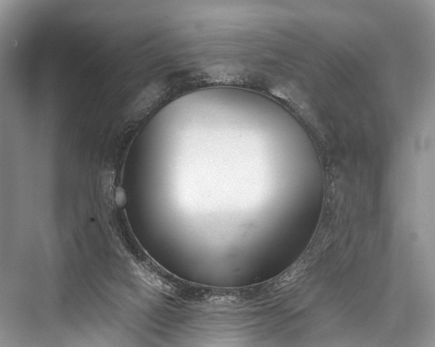 X0000076231458200610051142