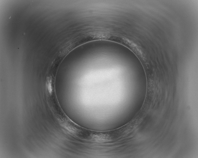 X0000076231461200610051142