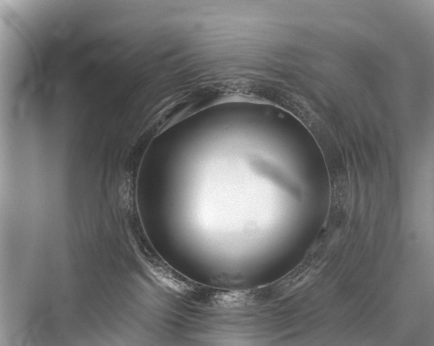 X0000076231484200610051142