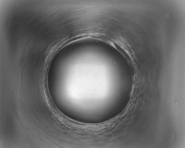 X0000076231489200610051143