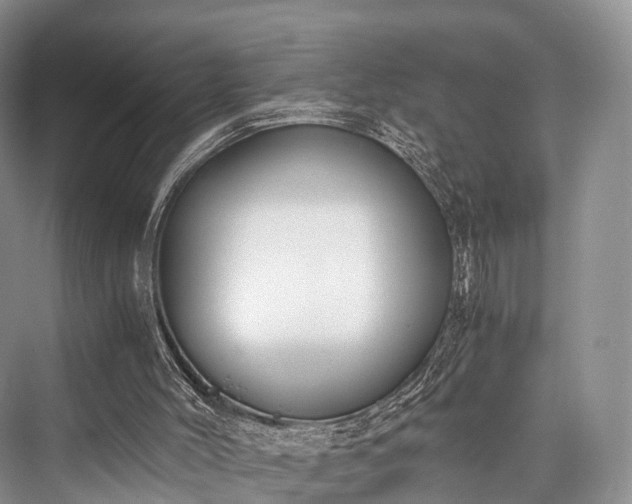 X0000076231492200610051143
