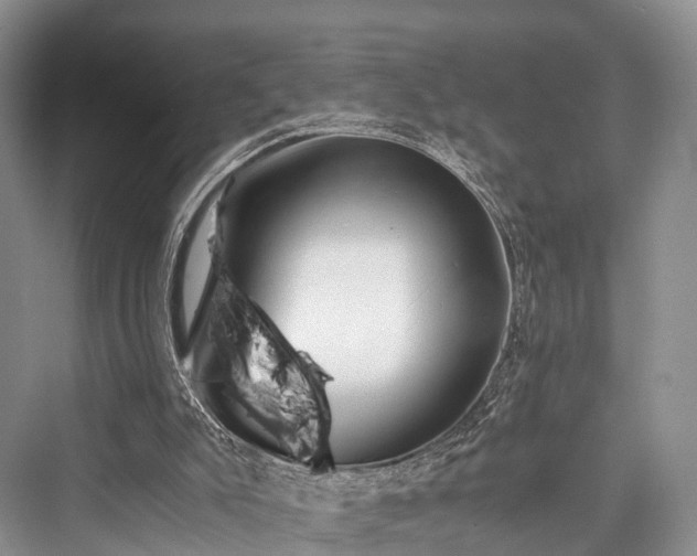 X0000076231495200610051143