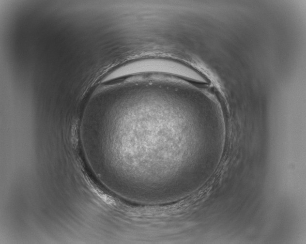 X0000076231497200610051143