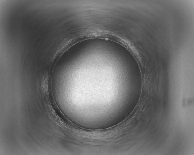 X0000076231498200610051143
