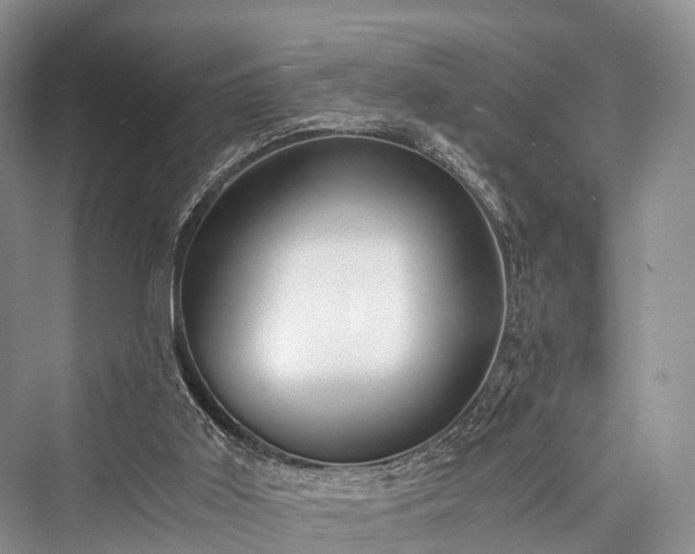 X0000076231499200610051143