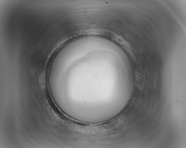 X0000076231500200610051143
