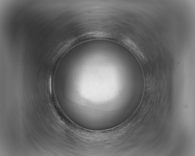 X0000076231502200610051143