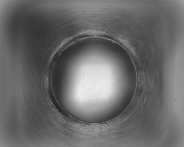 X0000076231503200610051143