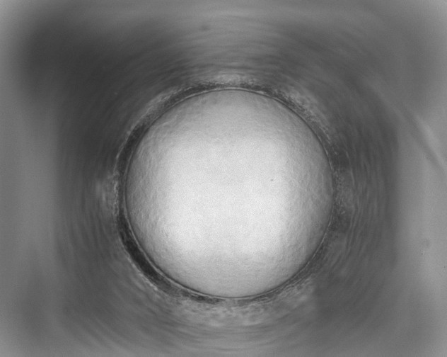 X0000076231504200610051143