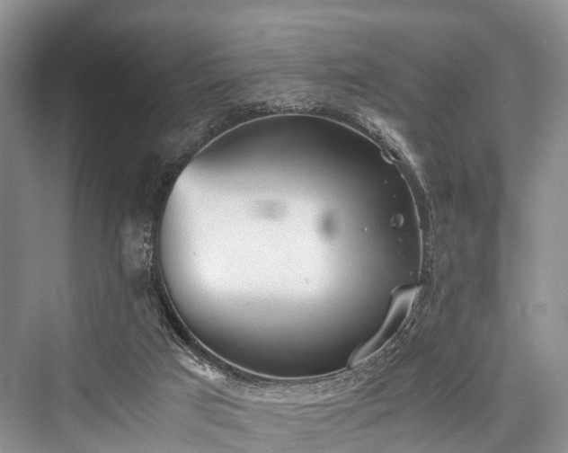 X0000076231505200610051143