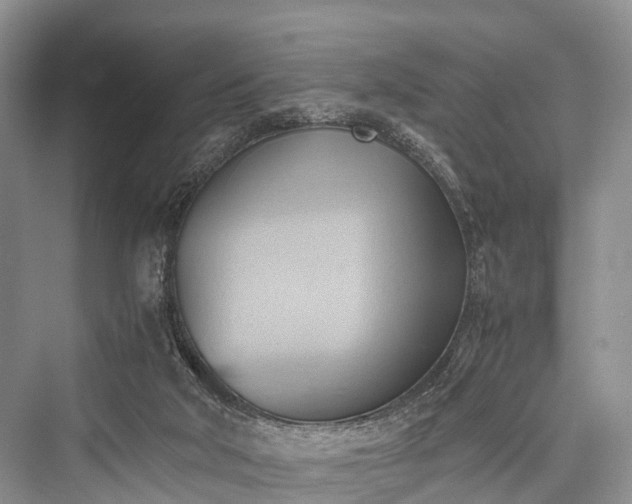 X0000076231506200610051143