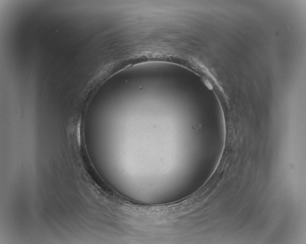 X0000076231507200610051143