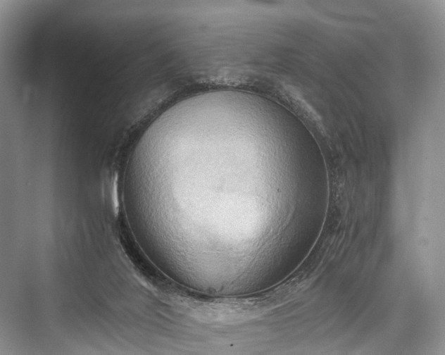 X0000076231508200610051143