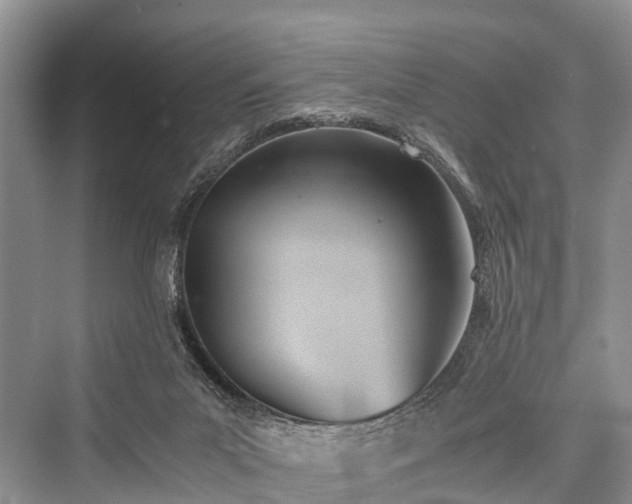 X0000076231511200610051143