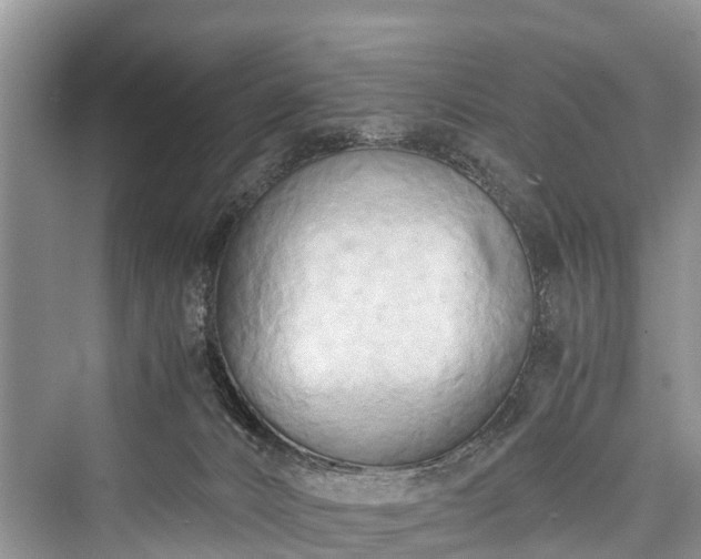 X0000076231520200610051142