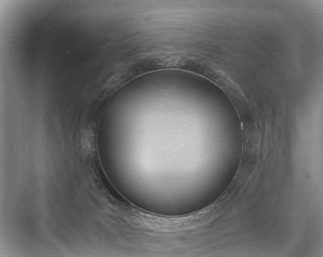 X0000076231523200610051142
