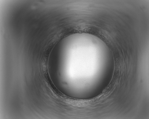 X0000076231528200610051142