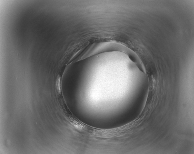 X0000076231529200610051142