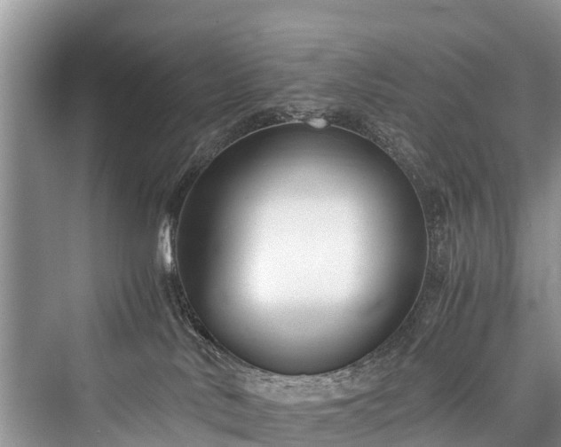 X0000076231530200610051142